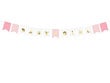 Girlianda Baby Girl Mix, 15x175 cm, 1 dėž/50 pak (1 pak/1 vnt) kaina ir informacija | Dekoracijos šventėms | pigu.lt