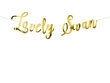 Girlianda Lovely Swan, aukso spalvos, 64x21,3 cm, 1 dėž/50 pak (1 pak/1 vnt) kaina ir informacija | Dekoracijos šventėms | pigu.lt