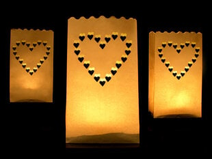 Бумажные светильники Сердечки 15 х 9 х 26 см (1 коробка / 50 упаковок) (1 упаковка / 10 шт) цена и информация | Праздничные декорации | pigu.lt