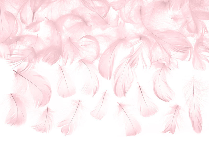 Dekoratyvinės plunksnos, šviesiai rožinės, 5-8 cm, 3 g kaina ir informacija | Dekoracijos šventėms | pigu.lt
