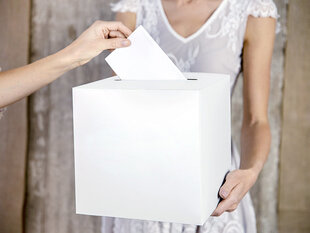 Vestuvinė palinkėjimų dėžutė Cream 24x24x24 cm (1 dėž/ 55 vnt) kaina ir informacija | Dekoracijos šventėms | pigu.lt