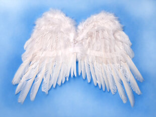 Sparnai Angel's Wings, balti, 53x37 cm, 1 dėž/100 pak (1 pak/1 vnt) kaina ir informacija | Karnavaliniai kostiumai | pigu.lt