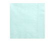 3 sluoksnių servetėlės Pale Turquoise 33x33 cm (1 pak/ 20 vnt) kaina ir informacija | Vienkartiniai indai šventėms | pigu.lt
