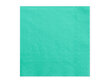 3 sluoksnių servetėlės Dark Mint 33x33 cm (1 pak / 20 vnt) цена и информация | Vienkartiniai indai šventėms | pigu.lt