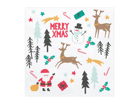 Servetėlės Merry Xmas 33x33 cm (1 pak/ 20 vnt.) kaina ir informacija | Vienkartiniai indai šventėms | pigu.lt