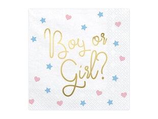 Servetėlės Boy or Girl 33x33 cm (1 dėž / 12 pak) (1 pak / 20 vnt) kaina ir informacija | Vienkartiniai indai šventėms | pigu.lt