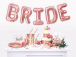 Popierinės vienkartinės lėkštutės Bride Squad Rose Gold 23 cm (1 dėž/25 vnt) (1 pak/ 6 vnt) kaina ir informacija | Vienkartiniai indai šventėms | pigu.lt
