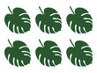 Stalo kortelės Aloha Monstera, žalios, 14,5x11 cm, 1 dėž/50 pak (1 pak/6 vnt) kaina ir informacija | Dekoracijos šventėms | pigu.lt
