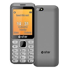 eStar Feature Phone X28 Dual SIM, Silver цена и информация | Мобильные телефоны | pigu.lt