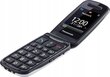 Panasonic KX-TU466EXWE White цена и информация | Mobilieji telefonai | pigu.lt