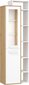 Vitrina Meblocross Rio P1D, ąžuolo/baltos spalvos kaina ir informacija | Vitrinos, indaujos | pigu.lt