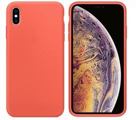 Evelatus Apple iPhone Xs Soft case with bottom Nectarine kaina ir informacija | Telefono dėklai | pigu.lt