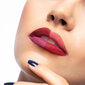 Lūpų dažai Artdeco High Performance 4 g, 749 mat garnet red цена и информация | Lūpų dažai, blizgiai, balzamai, vazelinai | pigu.lt