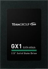 Team Group T253X1480G0C101 kaina ir informacija | Vidiniai kietieji diskai (HDD, SSD, Hybrid) | pigu.lt
