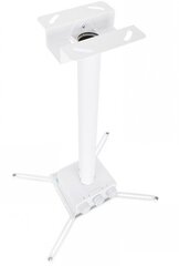 Multibrackets Universal Projector Ceiling Mount 200 kaina ir informacija | Televizorių laikikliai, tvirtinimai | pigu.lt