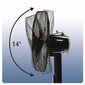 Ventiliatorius Honeywell HSF600BE4 kaina ir informacija | Ventiliatoriai | pigu.lt
