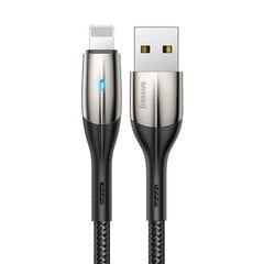 Baseus, USB/Lighthing, 1 m kaina ir informacija | Kabeliai ir laidai | pigu.lt