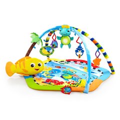 Развивающий коврик Baby Einstein Rhythm of the Reef Play Gym™ цена и информация | Развивающие коврики | pigu.lt