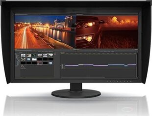 Eizo CG319X kaina ir informacija | Monitoriai | pigu.lt