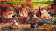 Samurai Shodown Xbox One цена и информация | Kompiuteriniai žaidimai | pigu.lt