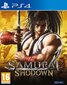 Samurai Shodown PS4 цена и информация | Kompiuteriniai žaidimai | pigu.lt