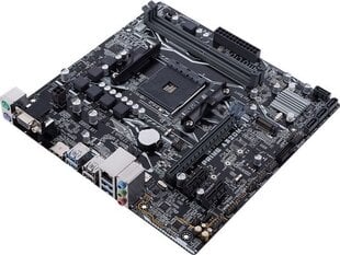 Asus Prime A320M-K/CSM kaina ir informacija | Pagrindinės plokštės | pigu.lt