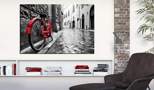 Paveikslas - Vintage Red Bike 90x60 cm kaina ir informacija | Reprodukcijos, paveikslai | pigu.lt