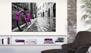 Paveikslas - Vintage Pink Bike 60x40 cm kaina ir informacija | Reprodukcijos, paveikslai | pigu.lt