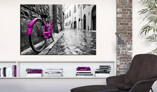 Paveikslas - Vintage Pink Bike 90x60 cm kaina ir informacija | Reprodukcijos, paveikslai | pigu.lt