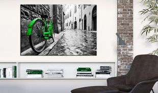 Paveikslas - Vintage Green Bike 60x40 cm kaina ir informacija | Reprodukcijos, paveikslai | pigu.lt