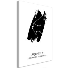 Живопись - Zodiac Signs: Aquarius (1 часть) Вертикальная 40x60 см цена и информация | Репродукции, картины | pigu.lt