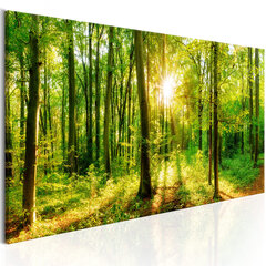 Картина - Green Magic 120x40 см цена и информация | Репродукции, картины | pigu.lt