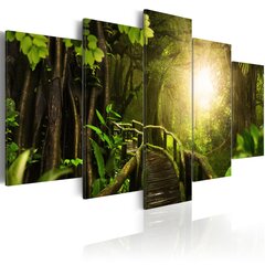 Картина - Magical Jungle 100x50 см цена и информация | Репродукции, картины | pigu.lt