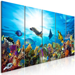 Paveikslas - Coral Reef (5 Parts) Narrow 225x90 cm kaina ir informacija | Reprodukcijos, paveikslai | pigu.lt