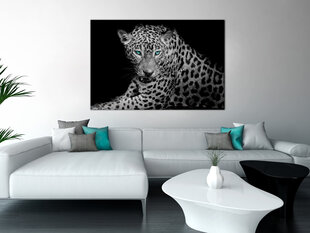 Paveikslas - Leopard Portrait (1 Part) Wide 120x80 cm kaina ir informacija | Reprodukcijos, paveikslai | pigu.lt