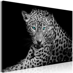 Paveikslas - Leopard Portrait (1 Part) Wide 120x80 cm kaina ir informacija | Reprodukcijos, paveikslai | pigu.lt