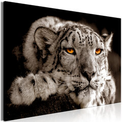 Картина - Magic Eyes (1 Part) Wide 120x80 см цена и информация | Репродукции, картины | pigu.lt