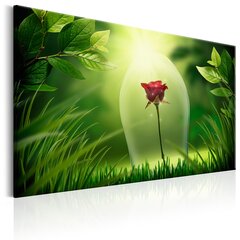 Картина - Magical Rose 60x40 см цена и информация | Репродукции, картины | pigu.lt