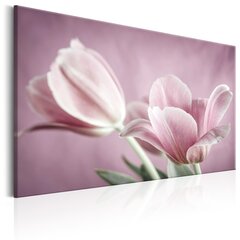 Изображение - Romantic Tulips 120x80 см цена и информация | Репродукции, картины | pigu.lt