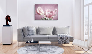 Изображение - Romantic Tulips 120x80 см цена и информация | Репродукции, картины | pigu.lt