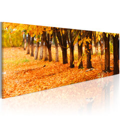 Paveikslas - Park covered with golden leaves 135x45 cm kaina ir informacija | Reprodukcijos, paveikslai | pigu.lt