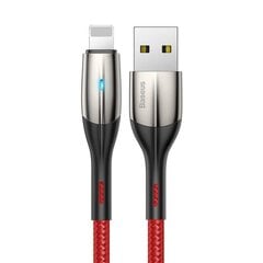 Baseus 2,4A, USB Lightning, 1 m kaina ir informacija | Laidai telefonams | pigu.lt