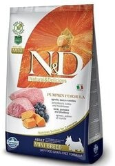 Farmina Pet Foods N&d mažų veislių sauugusiems šunims su moliūgu, ėriena ir mėlynėmis, 800 g kaina ir informacija | Sausas maistas šunims | pigu.lt