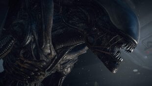 Alien: Isolation Xbox One kaina ir informacija | Kompiuteriniai žaidimai | pigu.lt