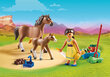 70122 PLAYMOBIL® DreamWorks Spirit, Pru ir kumelė su naujagimiu kaina ir informacija | Konstruktoriai ir kaladėlės | pigu.lt