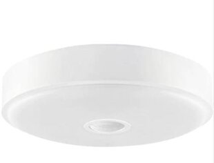 Подвесной светильник XIAOMI Luminous flux 670 Lumen YLXD09YL цена и информация | Потолочные светильники | pigu.lt