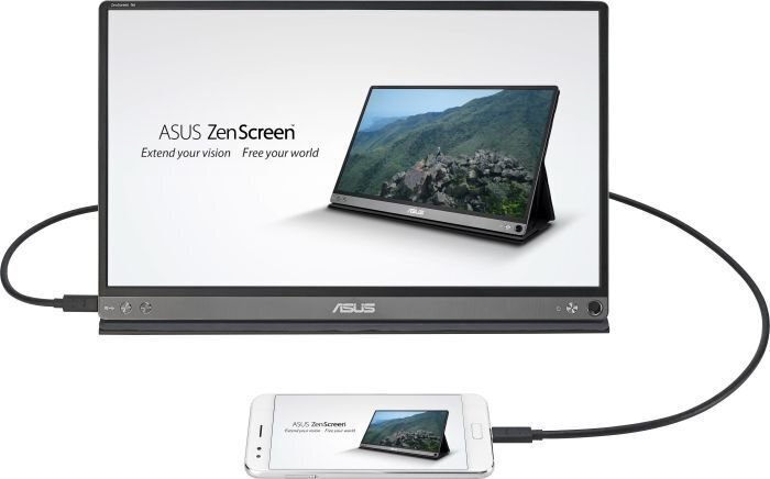 Asus 90LM04T0-B01170 цена и информация | Monitoriai | pigu.lt