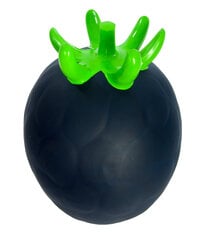 Šokinėjimo kamuolys Jumpy Gervuogė, juoda GT69382 kaina ir informacija | Žaislai kūdikiams | pigu.lt