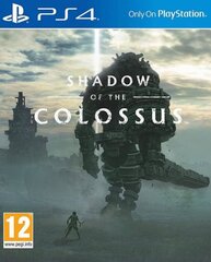 Shadow of the Colossus PS4 цена и информация | Компьютерные игры | pigu.lt