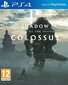 Shadow of the Colossus PS4 цена и информация | Kompiuteriniai žaidimai | pigu.lt